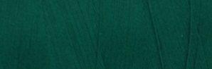 Venne ORGANIC GOTS Cotton Ne 16/2 100 gram 5-5034 Forest Green