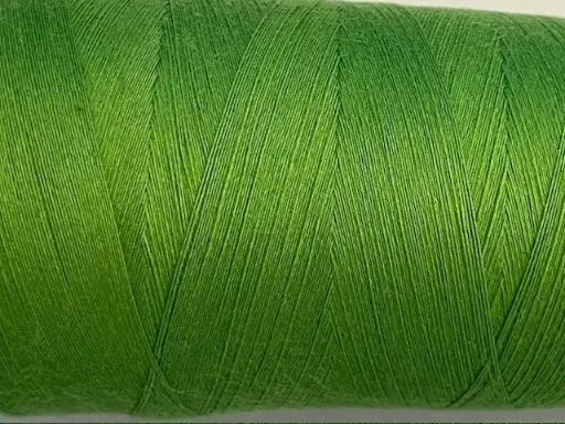 [11-341-5053-4] Venne ORGANIC GOTS Cotton Nm 34/1 combed 1000 gram nr. 11-5053 Fern green 