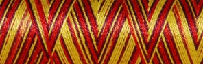 Venne Cotton Nm 40/2 mercerized multi-color mini spool nr. 8-4010 spice " - per 6"