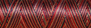 Venne Cotton Nm 40/2 mercerized multi-color mini spool nr. 8-3013 color " - per 6"
