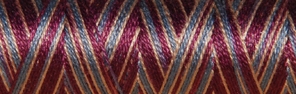 Venne Baumwolle  Nm 40/2 mercerisiert,multi-color, Eurocone 1000g, 8-3060 dunkel