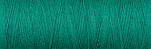 Venne ORGANIC GOTS Cottolin Nel 22/2 100 gram 3-5052 Gift Green