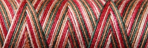 [8-402-4005-1] Venne Cotton Nm 40/2 mercerized multi-color mini spool nr. 8-4005 winter" - per 6"