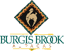 Burgis Brook Alpacas LLC