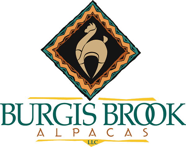 Burgis Brook Alpacas LLC